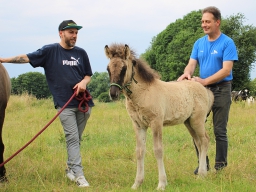 gestut dremmener bahnepool 10 - Jens Schröder mit Fohlen Biarki und Stefan Kiehl